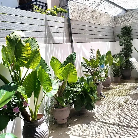 Apartmán Luxury House Near By Delphi *